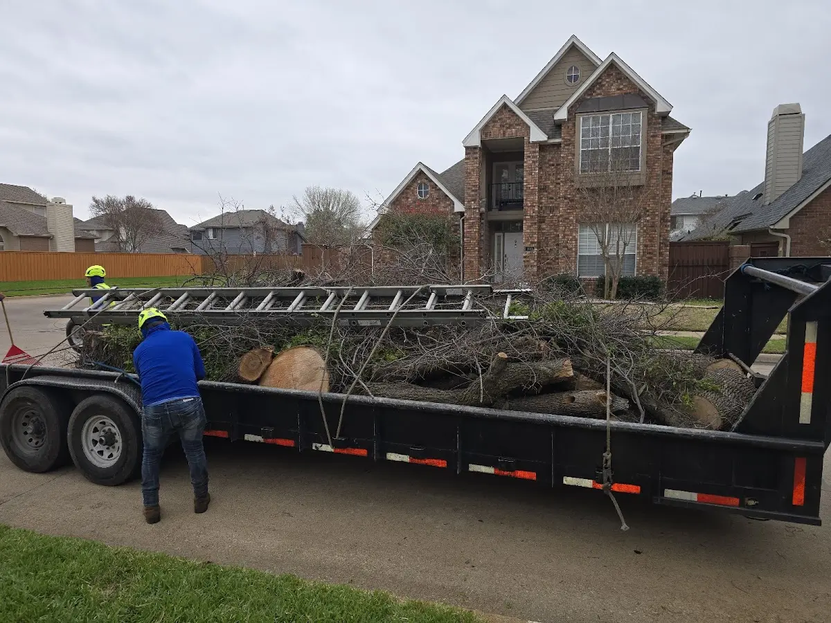 Expert Tree Fertilization with proper safety equipment in Pearl City